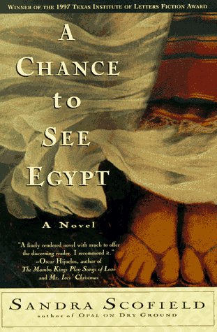 Beispielbild fr A Chance to See Egypt : A Novel zum Verkauf von Better World Books