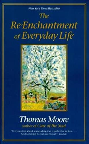 Imagen de archivo de The Re-enchantment of Everyday Life a la venta por Your Online Bookstore