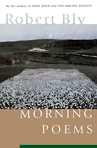 9780060928735: Morning Poems