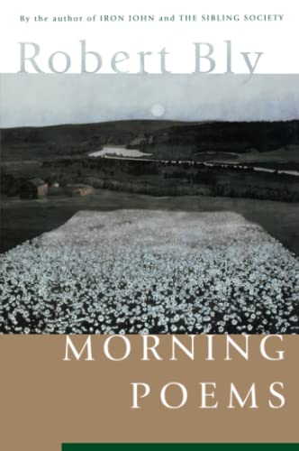 Imagen de archivo de Morning Poems a la venta por The Yard Sale Store