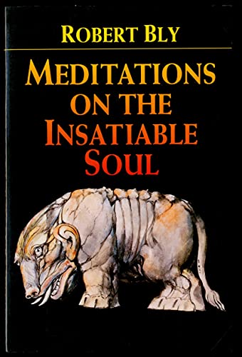 9780060950637: Meditations on the Insatiable Soul: Poems