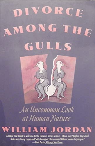 9780060974718: Divorce Among the Gulls: An Uncommon Look at Human Nature