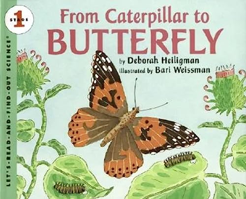 Imagen de archivo de From Caterpillar to Butterfly (Lets-Read-and-Find-Out Science, S a la venta por Hawking Books