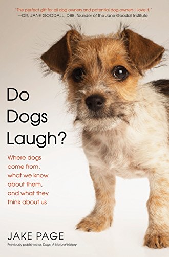 Beispielbild fr Do Dogs Laugh? : Where Dogs Come from, What We Know about Them, and What They Think about Us zum Verkauf von Better World Books