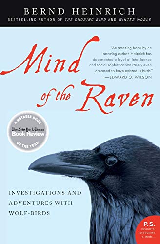 9780061136054: Mind of the Raven: Investigations and Adventures with Wolf-Birds