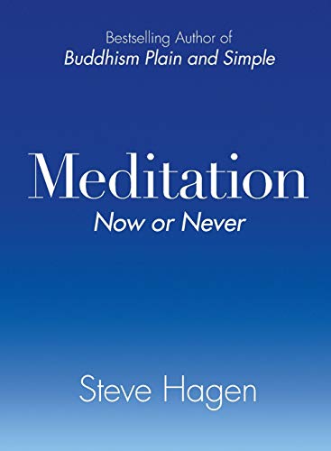 Imagen de archivo de Meditation Now or Never a la venta por SecondSale