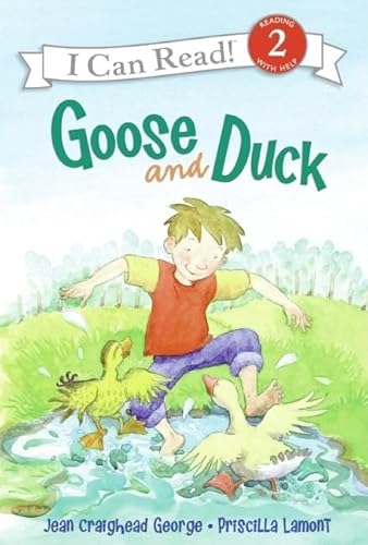 Stock image for Goose and Duck for sale by Better World Books