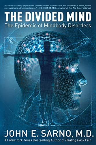 Beispielbild fr The Divided Mind: The Epidemic of Mindbody Disorders zum Verkauf von Goodwill of Colorado