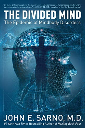 9780061174308: The Divided Mind: The Epidemic of Mindbody Disorders