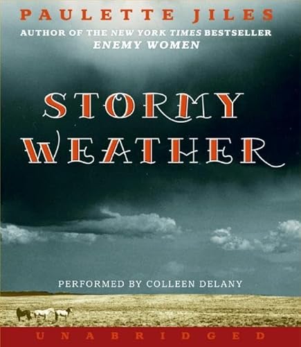 Stock image for Stormy Weather CD for sale by Irish Booksellers