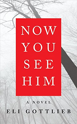 Imagen de archivo de Now You See Him: A Novel a la venta por SecondSale