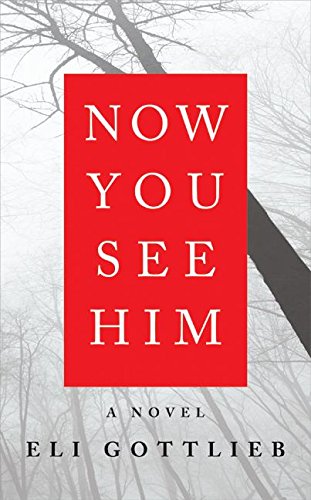 Stock image for Now You See Him: A Novel for sale by SecondSale