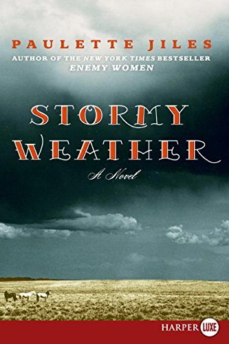 Imagen de archivo de Stormy Weather a la venta por Better World Books