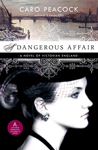 Stock image for A Dangerous Affair for sale by Jenson Books Inc