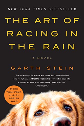 Stock image for The Art of Racing in the Rain: A Novel for sale by Nealsbooks