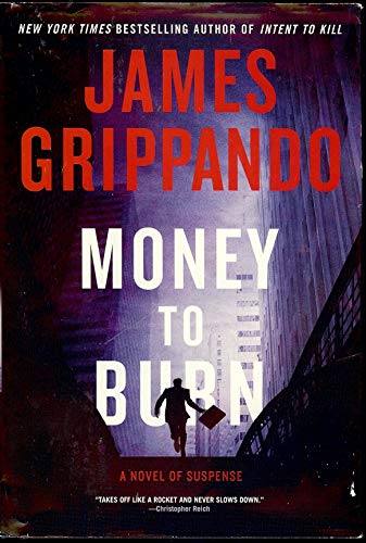 9780061556302: Money to Burn: A Novel of Suspense