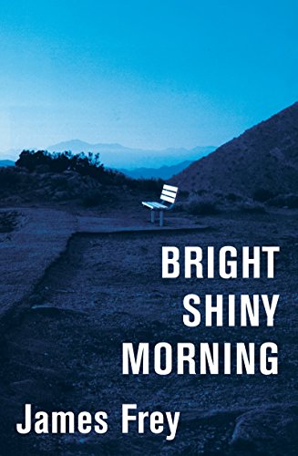 9780061573132: Bright Shiny Morning