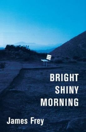 Beispielbild fr Bright Shiny Morning zum Verkauf von Better World Books: West