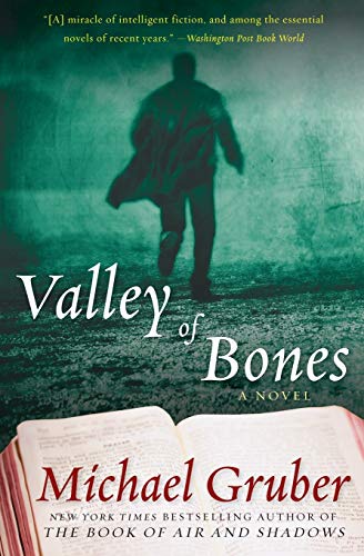 Beispielbild fr Valley of Bones : A Novel zum Verkauf von Better World Books: West