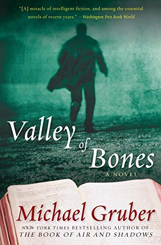 Imagen de archivo de Valley of Bones: A Novel (Jimmy Paz, 2) a la venta por Your Online Bookstore