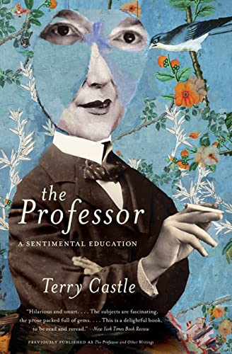 Stock image for The Professor: A Sentimental Education for sale by THE SAINT BOOKSTORE