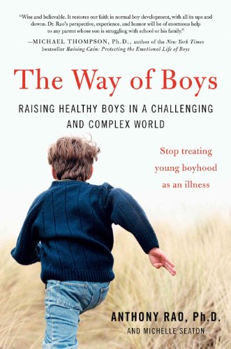 Beispielbild fr The Way of Boys : Raising Healthy Boys in a Challenging and Complex World zum Verkauf von Better World Books