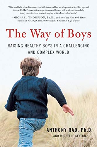Stock image for The Way of Boys: Raising Healthy Boys in a Challenging and Complex World for sale by Tangled Web Mysteries and Oddities
