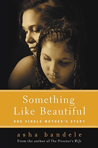 Stock image for Something Like Beautiful: One Single Mother's Story for sale by ThriftBooks-Atlanta