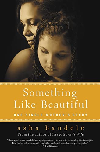 Beispielbild fr Something Like Beautiful: One Single Mother's Story zum Verkauf von BooksRun