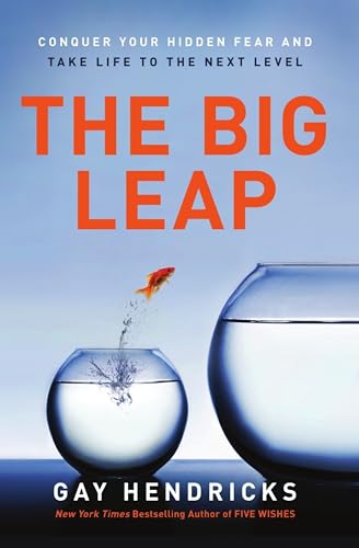 Stock image for The Big Leap: Conquer Your Hidden Fear and Take Life to the Next Level for sale by Half Price Books Inc.