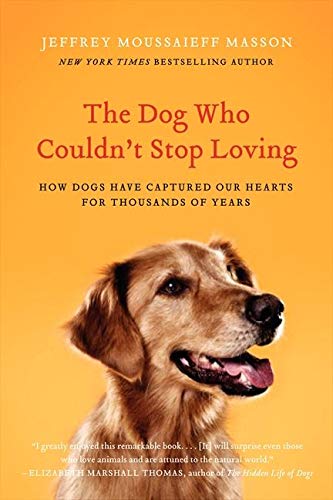 Beispielbild fr The Dog Who Couldn't Stop Loving: How Dogs Have Captured Our Hearts for Thousands of Years zum Verkauf von SecondSale