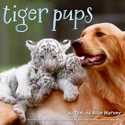 Stock image for Tiger Pups for sale by Gulf Coast Books
