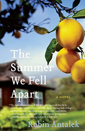 9780061782169: The Summer We Fell Apart: A Novel