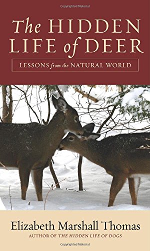 Stock image for The Hidden Life of Deer : Lessons from the Natural World for sale by Better World Books: West