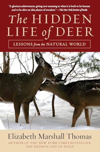 Beispielbild fr The Hidden Life of Deer : Lessons from the Natural World zum Verkauf von Better World Books