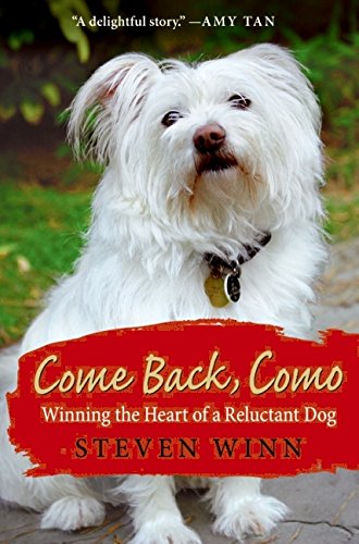 Beispielbild fr Come Back, Como: Winning the Heart of a Reluctant Dog zum Verkauf von Wonder Book