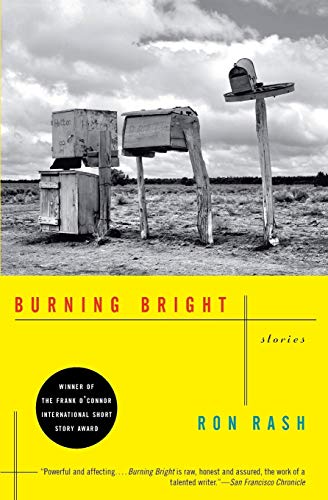 9780061804120: Burning Bright: Stories