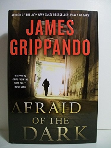 Beispielbild fr Afraid of the Dark (Jack Swyteck Novel) zum Verkauf von SecondSale