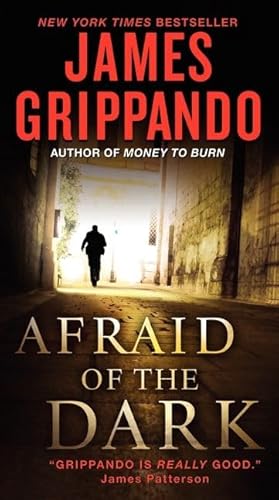 9780061840296: Afraid of the Dark (Jack Swyteck)