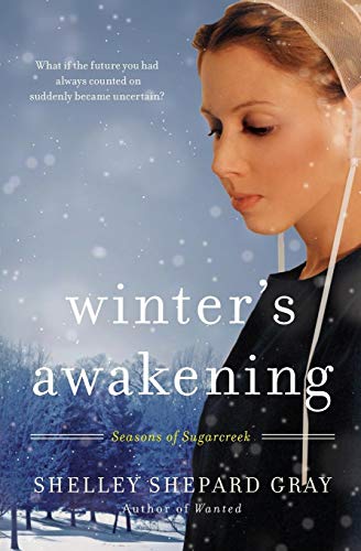 Stock image for Winter's Awakening: Seasons of Sugarcreek, Book One (Seasons of Sugarcreek, 1) for sale by Orion Tech