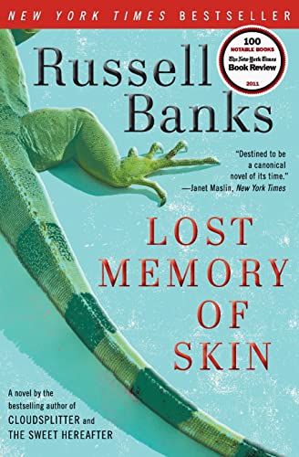 Beispielbild fr Lost Memory of Skin zum Verkauf von Better World Books