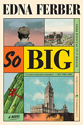 Imagen de archivo de So Big: A Novel a la venta por Goodwill of Colorado