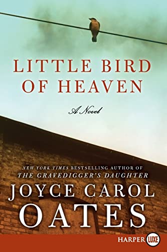 9780061885945: Little Bird of Heaven LP: A Novel