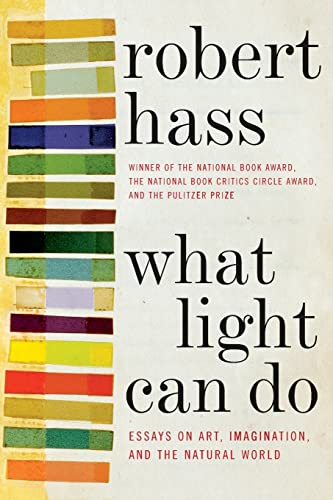 9780061923913: WHAT LIGHT CAN DO PB: Essays on Art, Imagination, and the Natural World