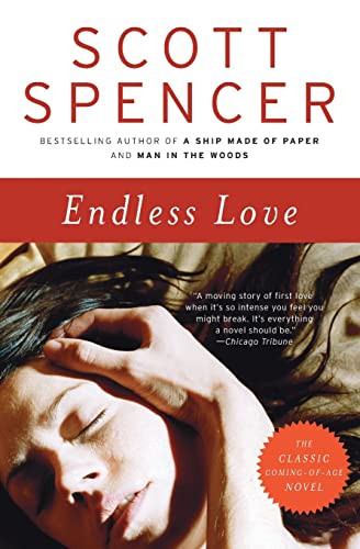 Beispielbild fr Endless Love: A Novel zum Verkauf von SecondSale