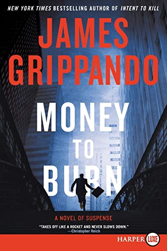 Beispielbild fr Money to Burn : A Novel of Suspense zum Verkauf von Better World Books