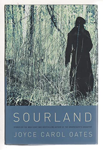 9780061996528: Sourland: Stories