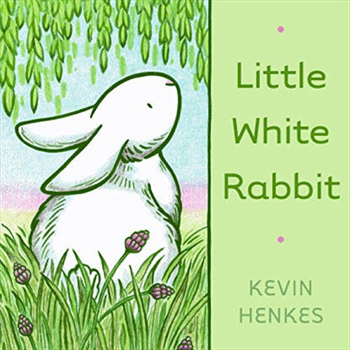 9780062006431: Little White Rabbit