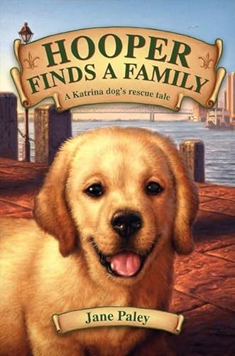 9780062011039: Hooper Finds a Family: A Hurricane Katrina Dog's Survival Tale