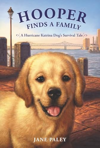 Beispielbild fr Hooper Finds a Family: A Hurricane Katrina Dog's Survival Tale zum Verkauf von Wonder Book